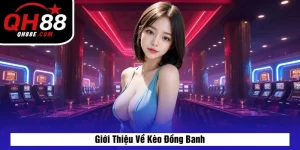 Giới Thiệu Về Kèo Đồng Banh
