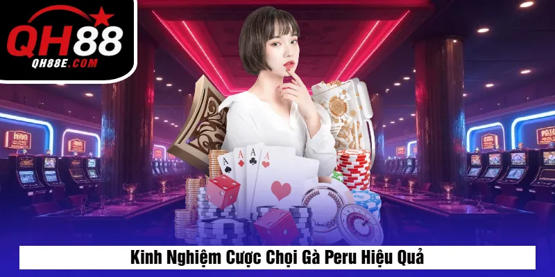 Kinh Nghiệm Cược Chọi Gà Peru Hiệu Quả