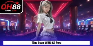Tổng Quan Về Đá Gà Peru